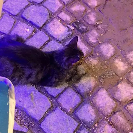 Pensjonat Imerek Stone House Alaçatı