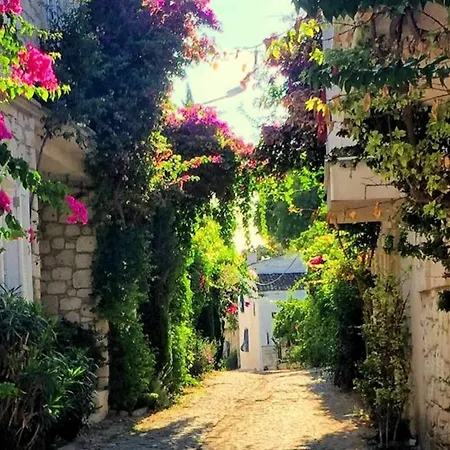 Imerek Stone House Gasthof Alaçatı