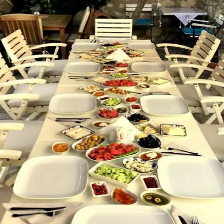 Pensjonat Imerek Stone House 2*