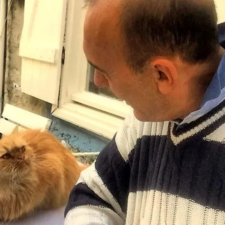 Imerek Stone House Affittacamere 2*