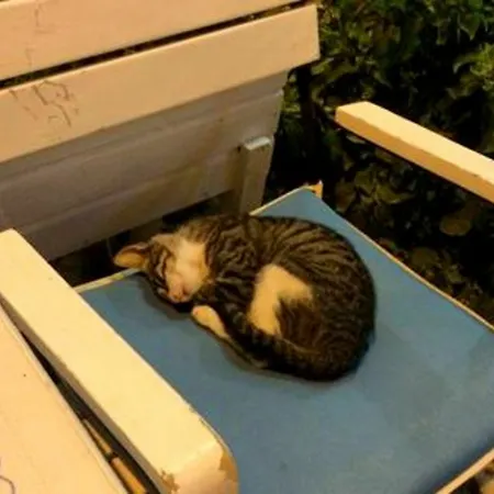 Imerek Stone House Affittacamere 2*